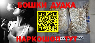 МДПВ Дубна