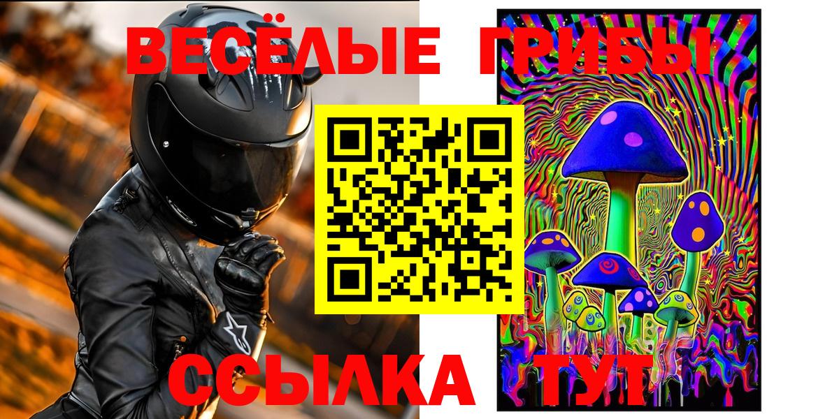 хочу   Вход с VPN  Наро-Фоминск  Псилоцибиновые грибы Cubensis 