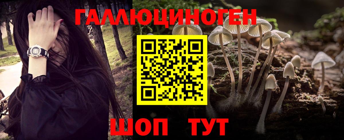 Галлюциногенные грибы Psilocybe Наро-Фоминск